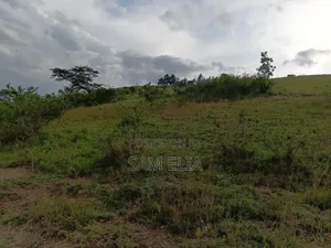 Land for Farming