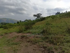 Land for Farming