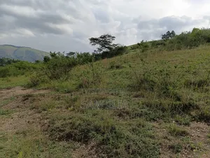 Land for Farming