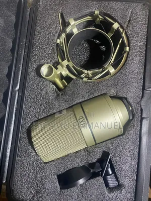 Studio Microphone