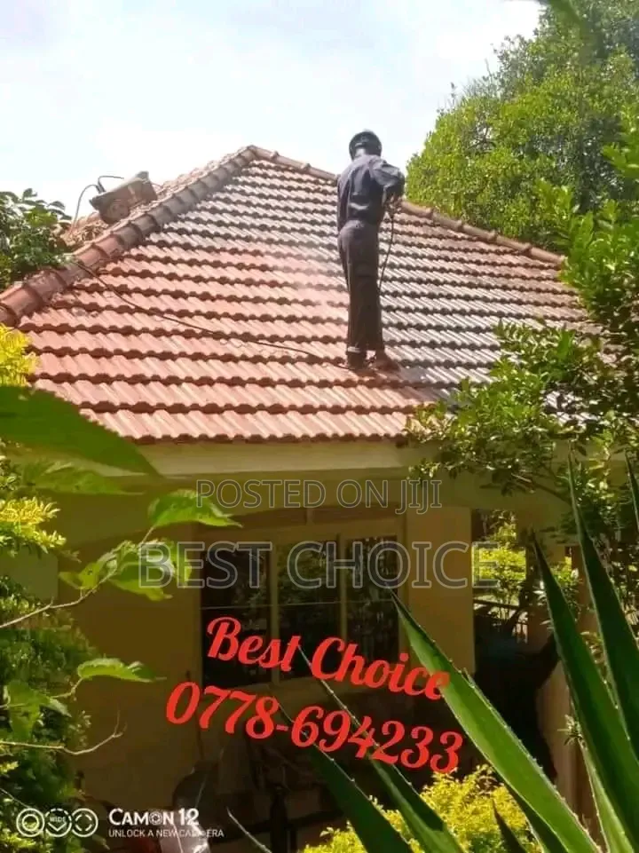 Roof Cleaning Excellence