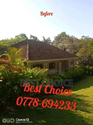 Roof Cleaning Excellence