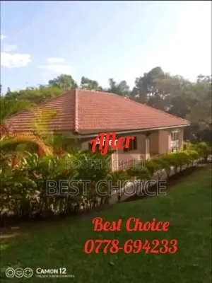 Roof Cleaning Excellence