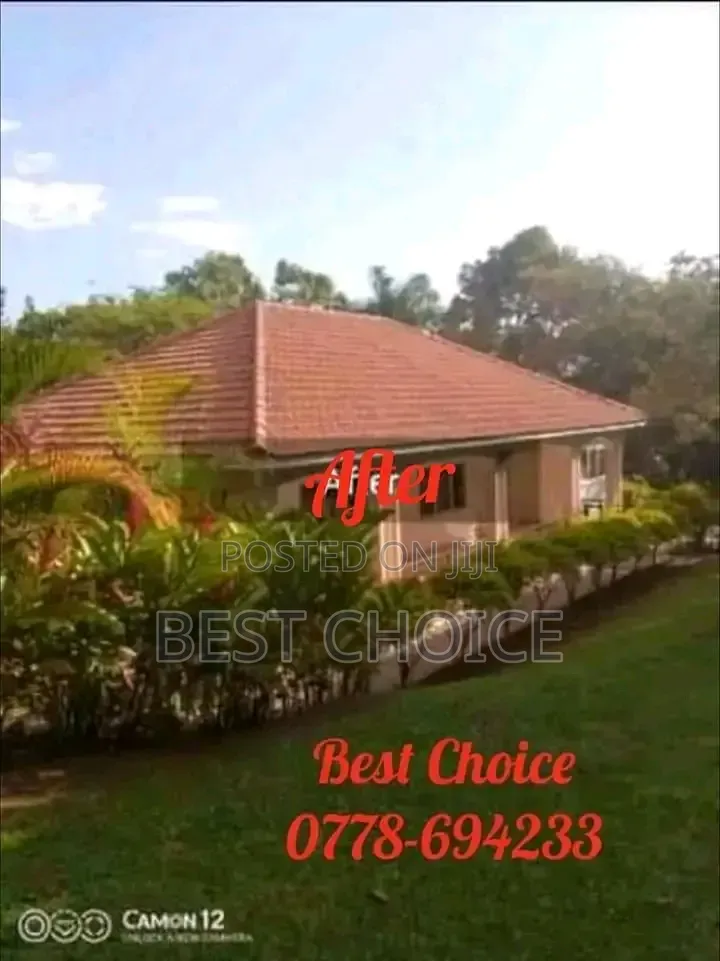 Roof Cleaning Excellence