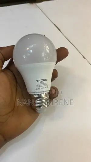 Led Bulbs Daylight