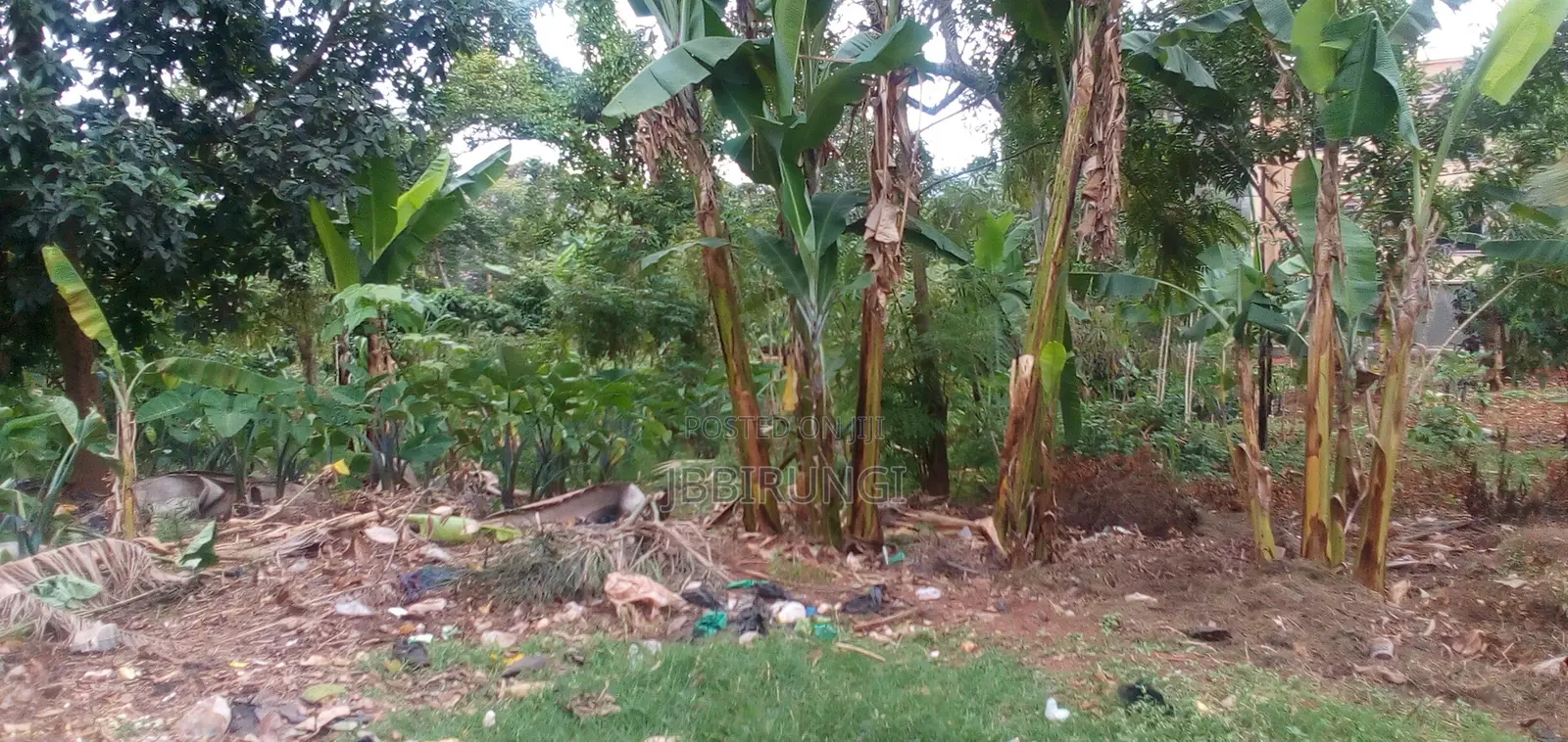 1 Acre for Sale in Makindye Kizungu