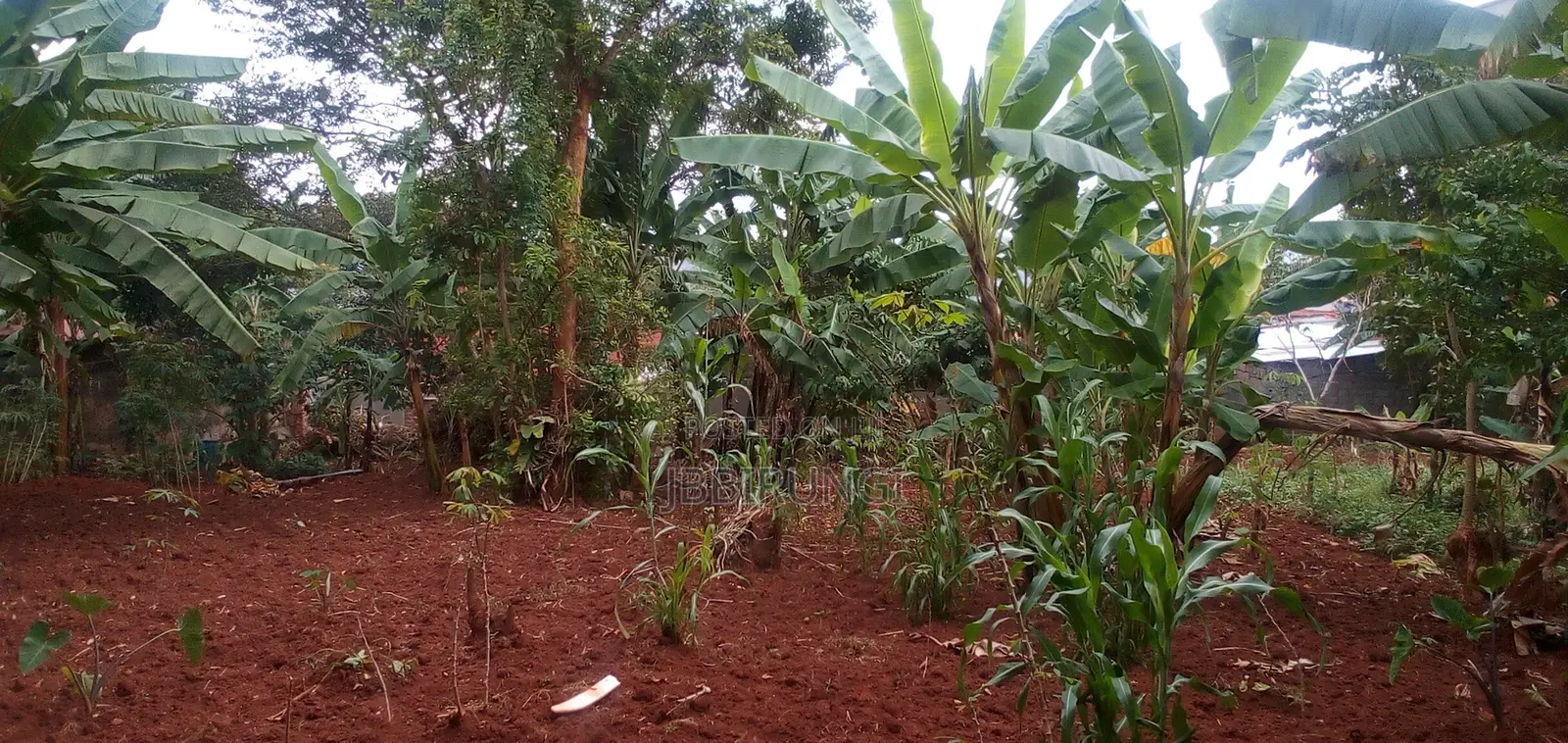 1 Acre for Sale in Makindye Kizungu