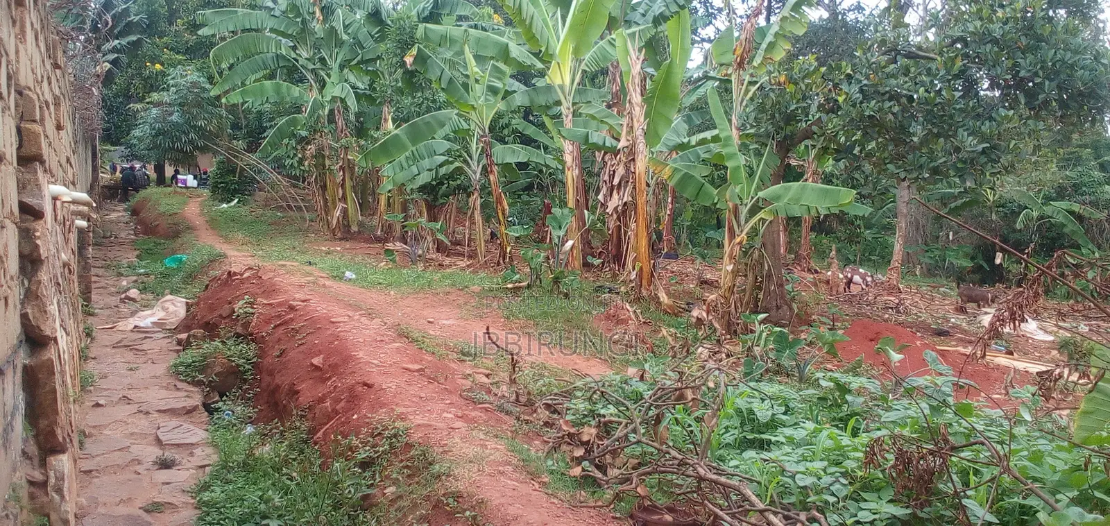 1 Acre for Sale in Makindye Kizungu