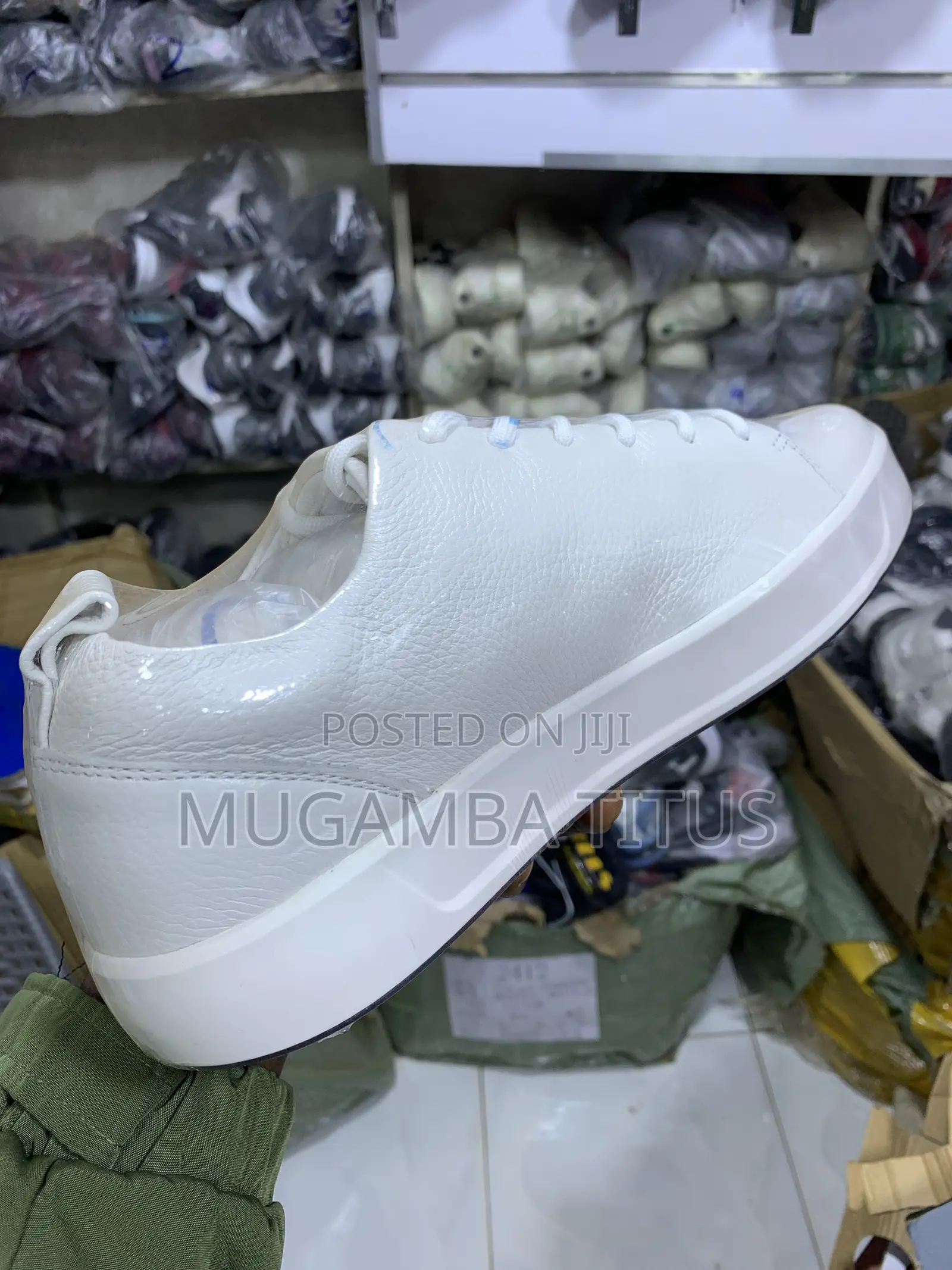 White Ecco