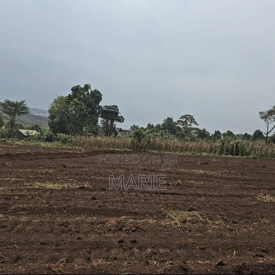 Titled 50×100 Plots for Sale in Katende – Near Nakawuka Road