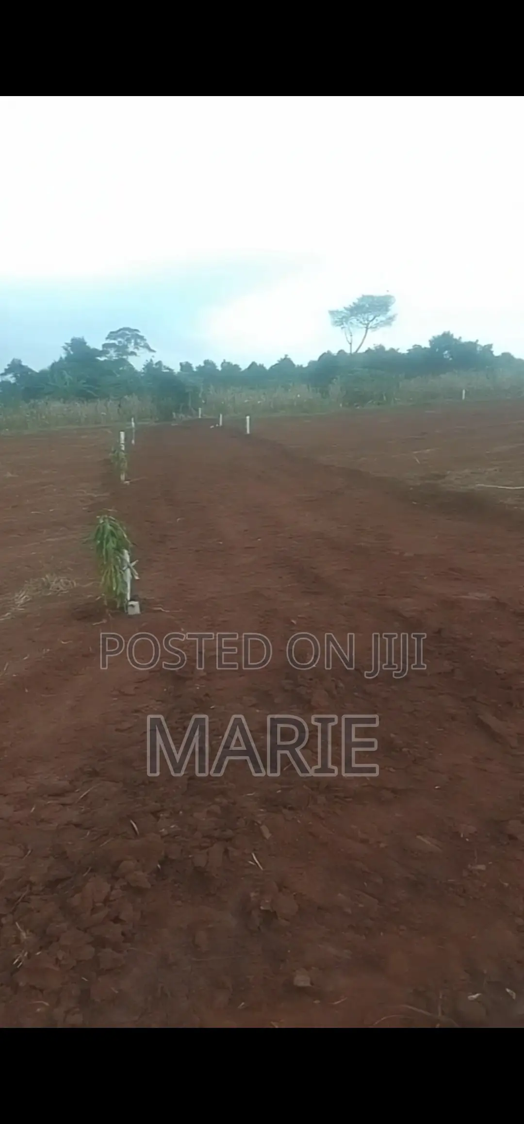 Titled 50×100 Plots for Sale in Katende – Near Nakawuka Road