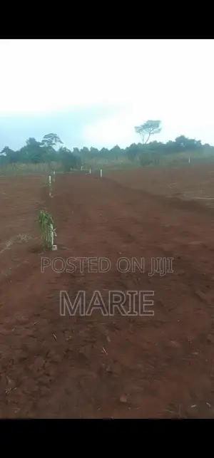 Titled 50×100 Plots for Sale in Katende – Near Nakawuka Road