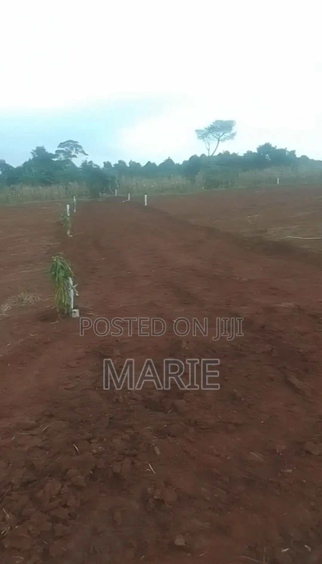Titled 50×100 Plots for Sale in Katende – Near Nakawuka Road