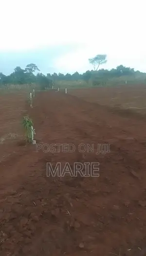 Titled 50×100 Plots for Sale in Katende – Near Nakawuka Road