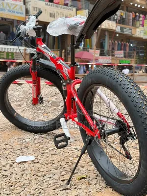 Heavy Big Size Bicycle