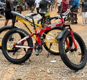 Heavy Big Size Bicycle
