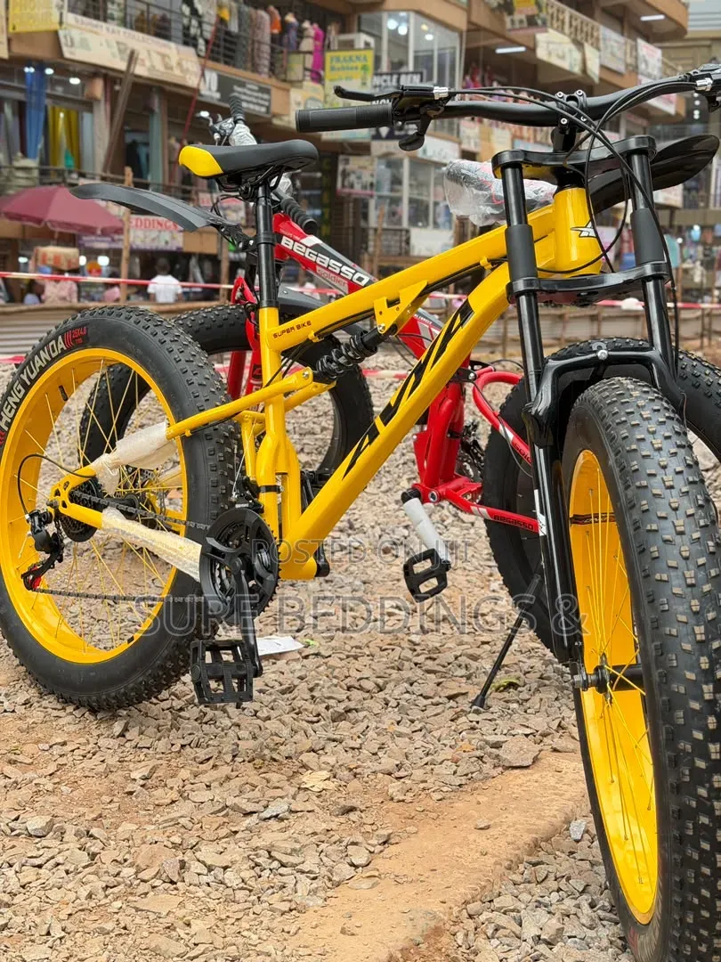 Morrison Big Bicycle