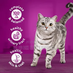 Whiskas Chicken in Jelly Cat Food 1+ Years