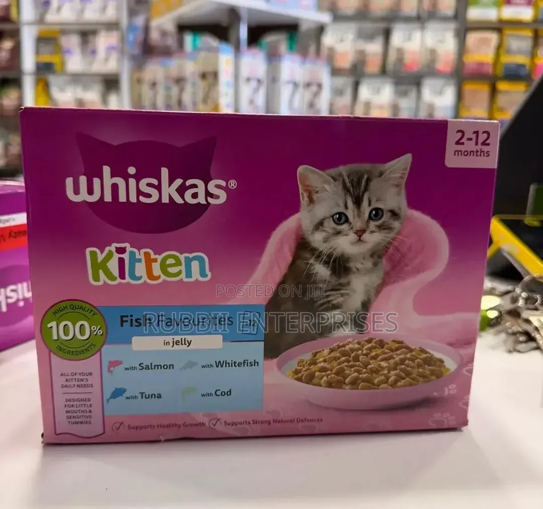 Whiskas Kitten Fish Favourites in Jelly Wet Cat Food 2 -12 Months