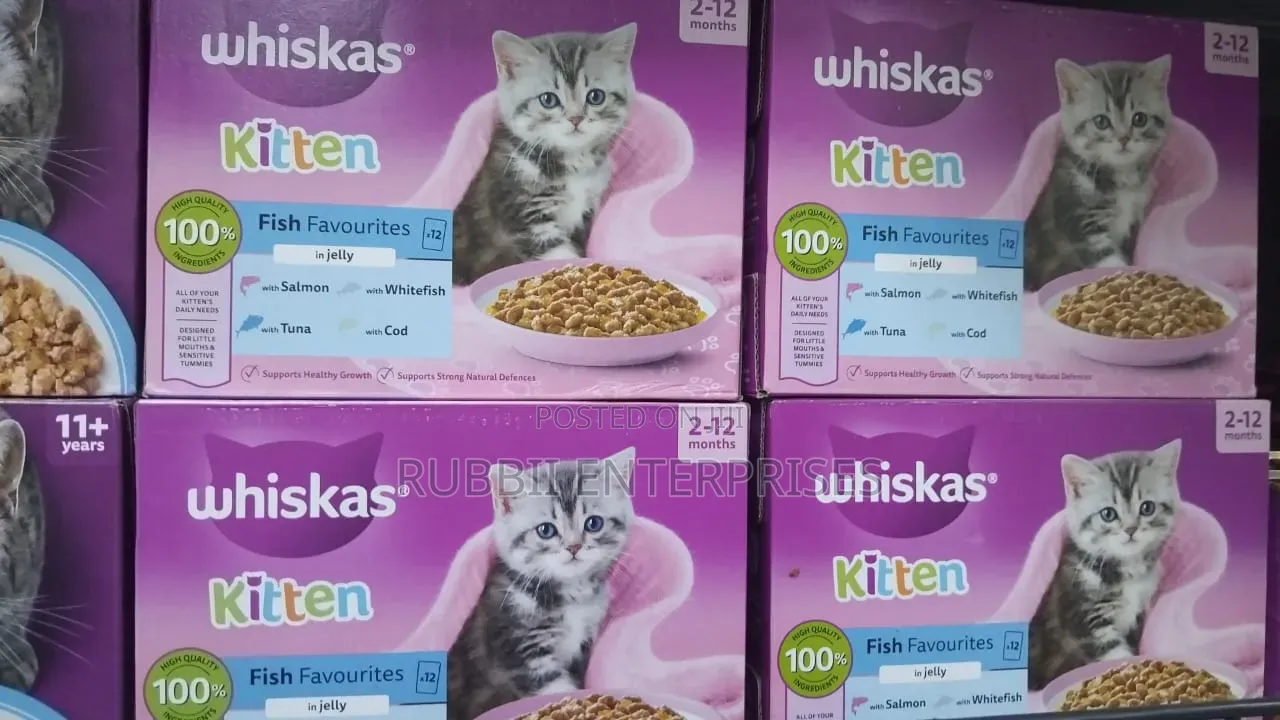 Whiskas Kitten Fish Favourites in Jelly Wet Cat Food 2 -12 Months