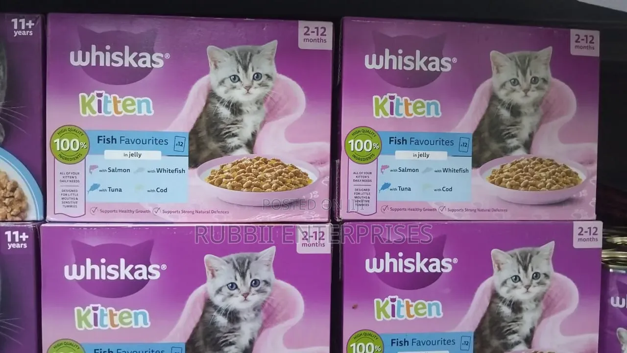 Whiskas Kitten Fish Favourites in Jelly Wet Cat Food 2 -12 Months