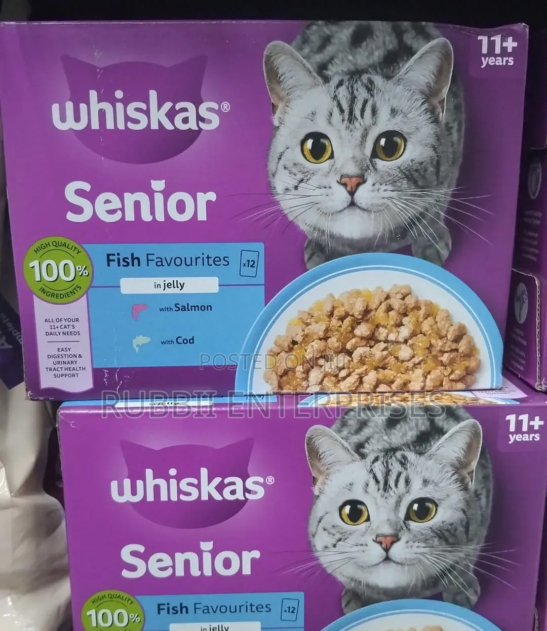 Whiskas Senior Fish Favourites in Jelly Cat Food 12×85g 11+ Years