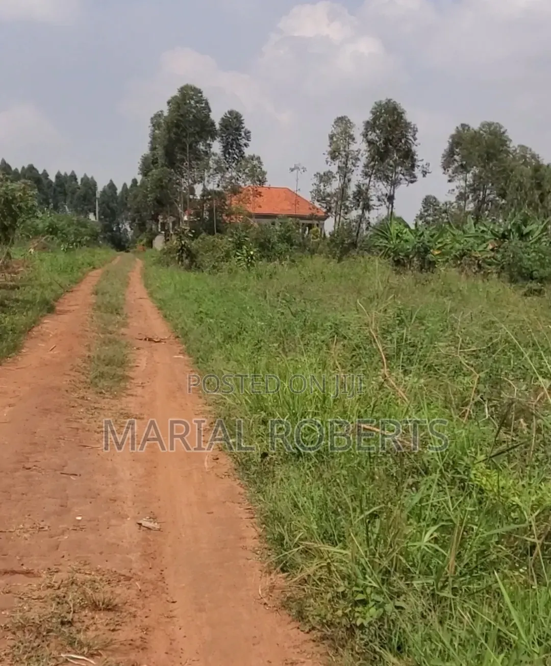 Titled Plots for Sale in Gayaza Dundu
