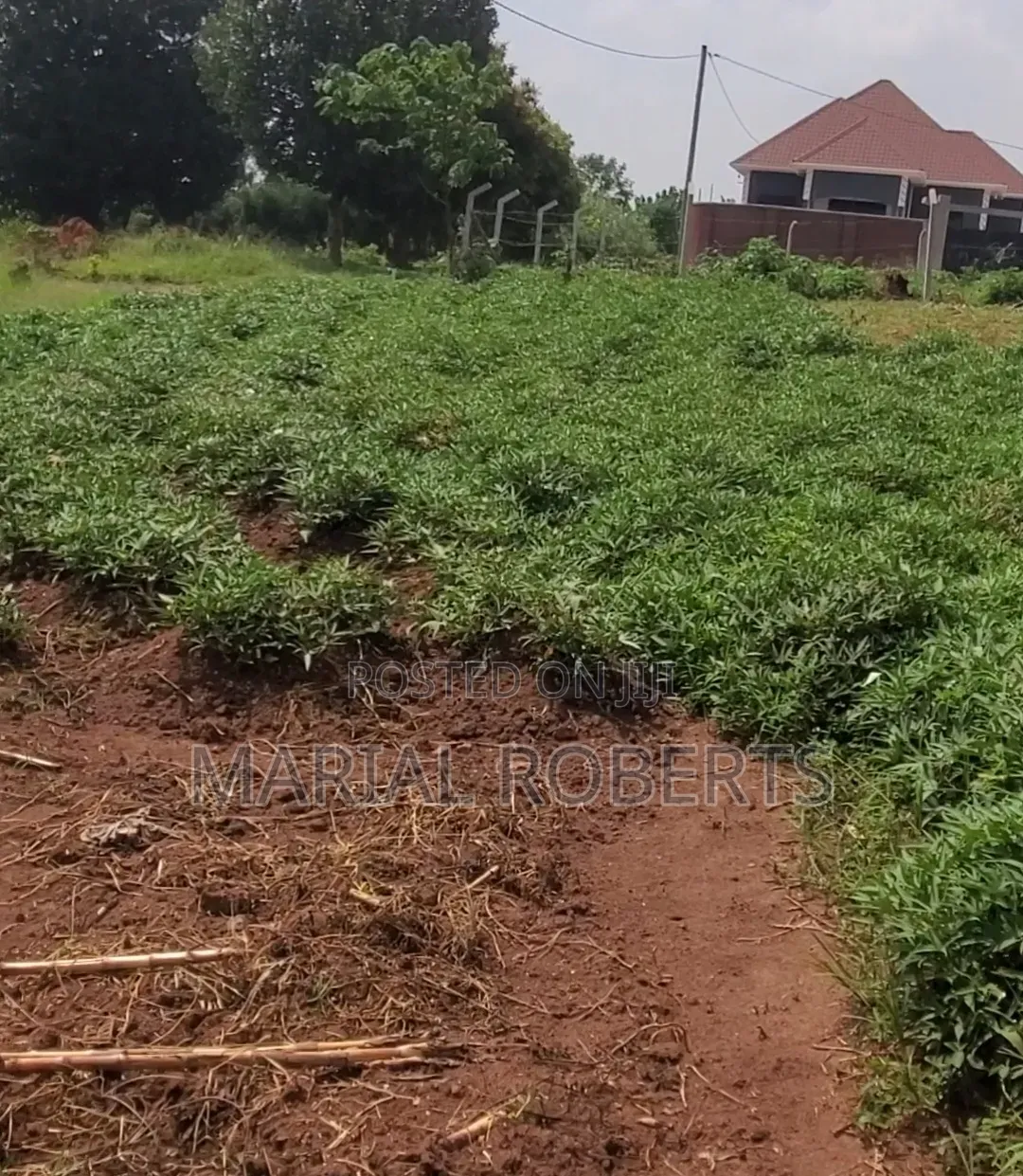 Titled Plots for Sale in Gayaza Dundu