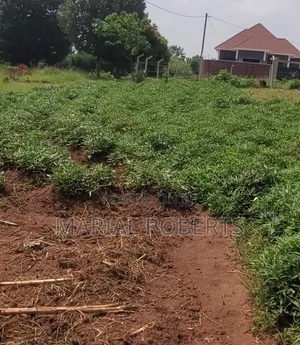 Titled Plots for Sale in Gayaza Dundu