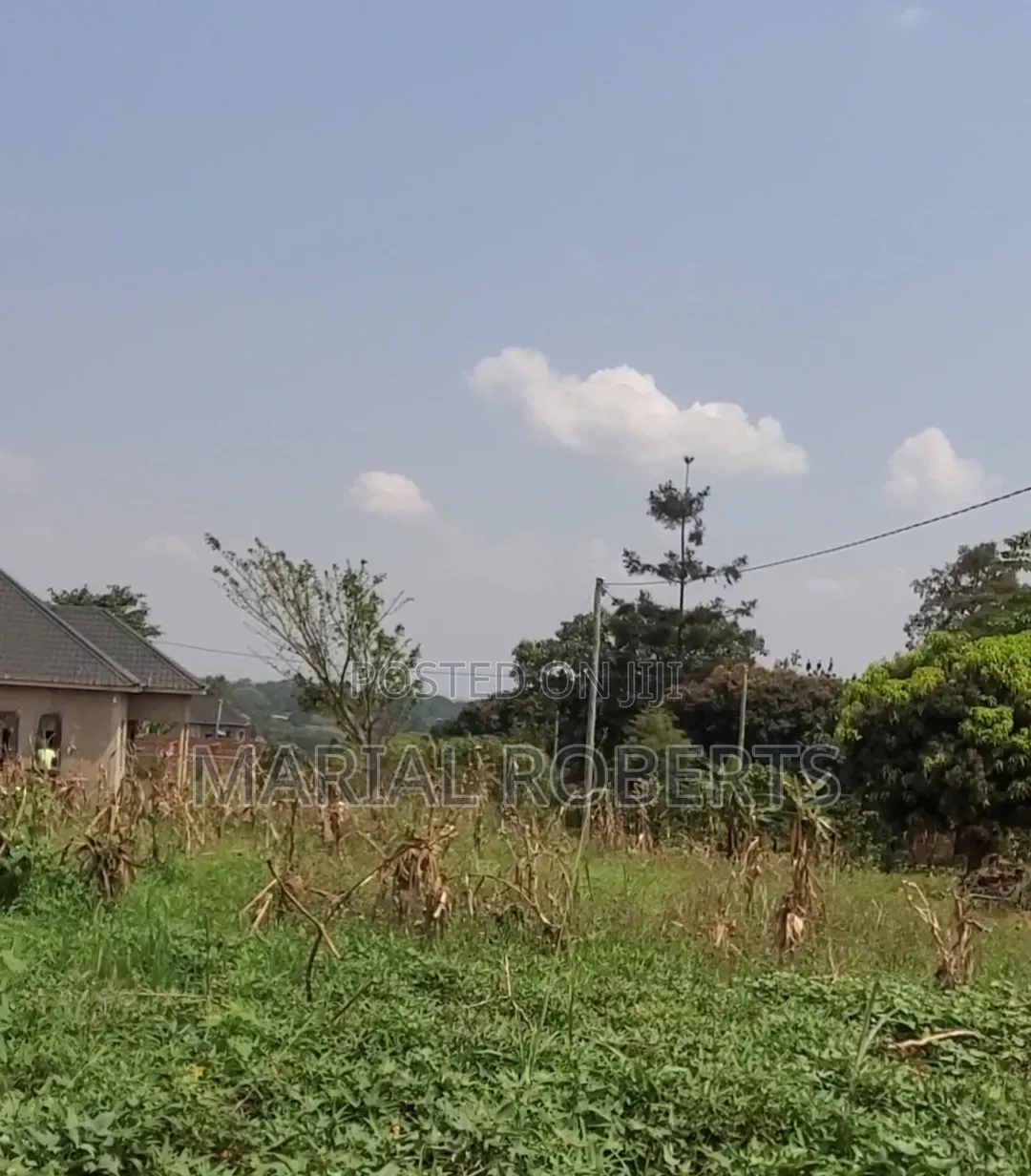 Titled Plots for Sale in Gayaza Dundu