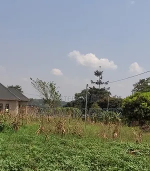 Titled Plots for Sale in Gayaza Dundu