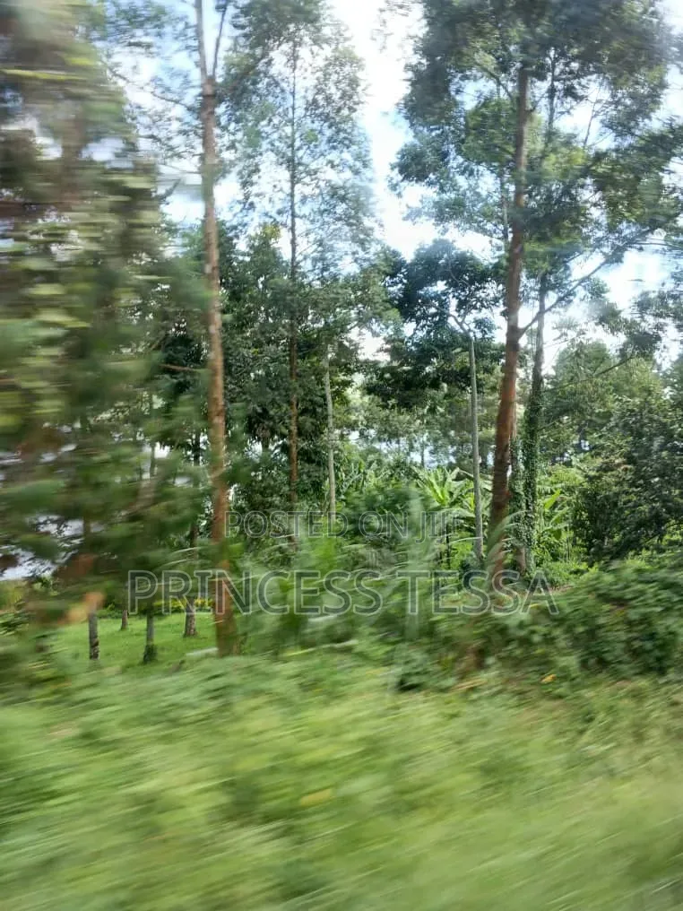 Kibanja Land