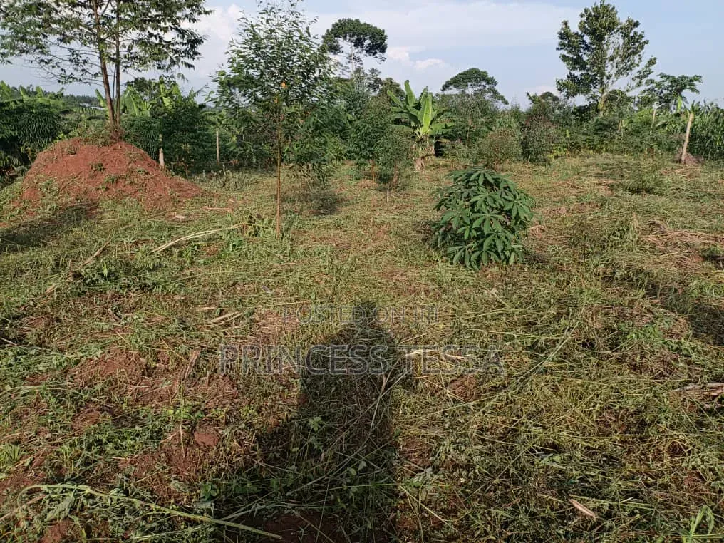 Kibanja Land