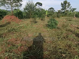 Kibanja Land