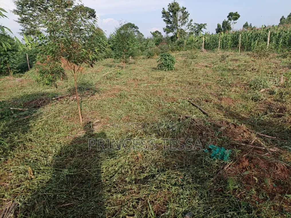 Kibanja Land