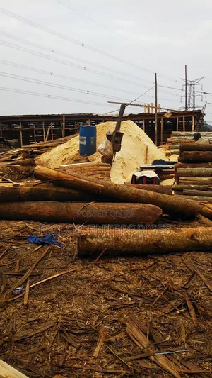Sawdust/Wood Dust/ Empumbu