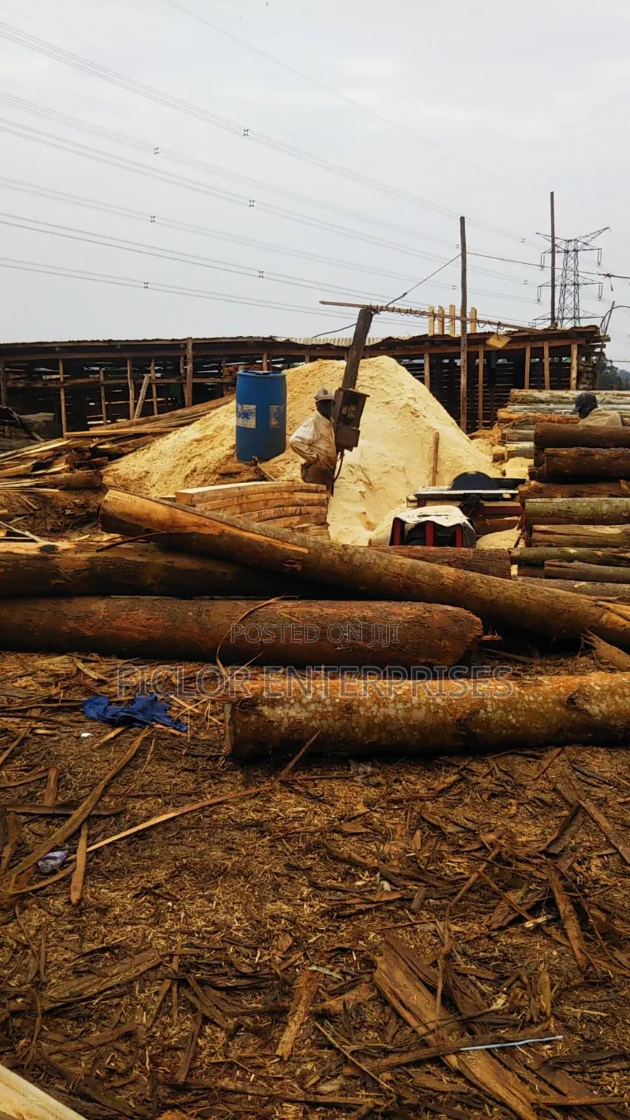Sawdust/Wood Dust/ Empumbu
