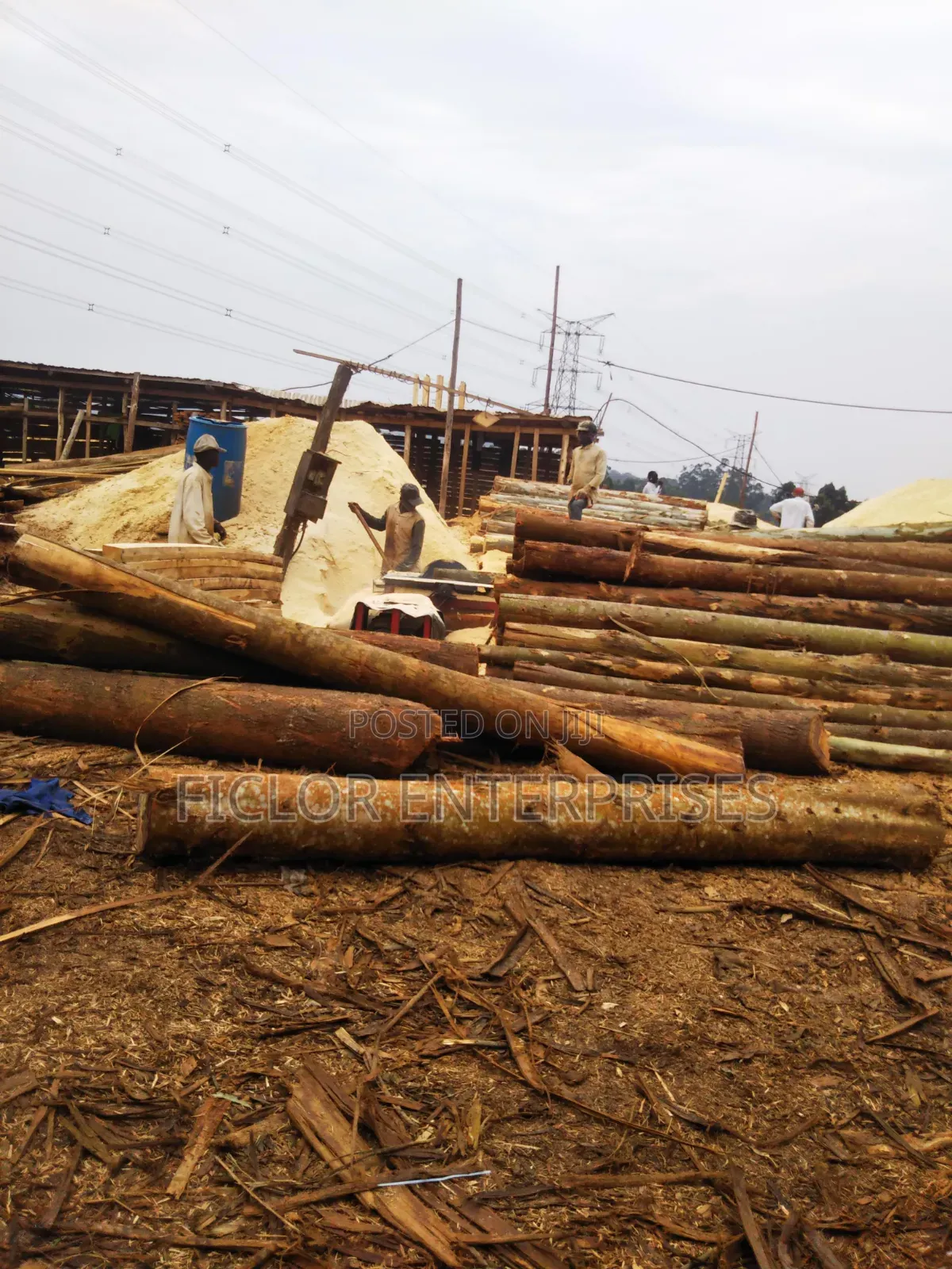Sawdust/Wood Dust/ Empumbu