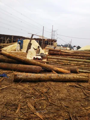 Sawdust/Wood Dust/ Empumbu