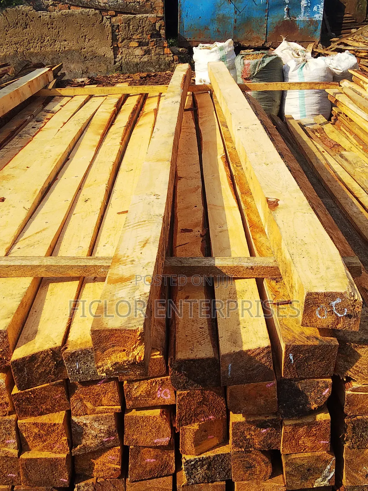 Pine Timber | Pine Wood | Timber Supplier