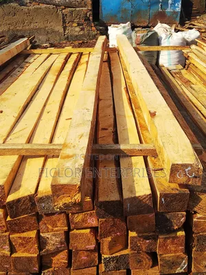 Pine Timber | Pine Wood | Timber Supplier
