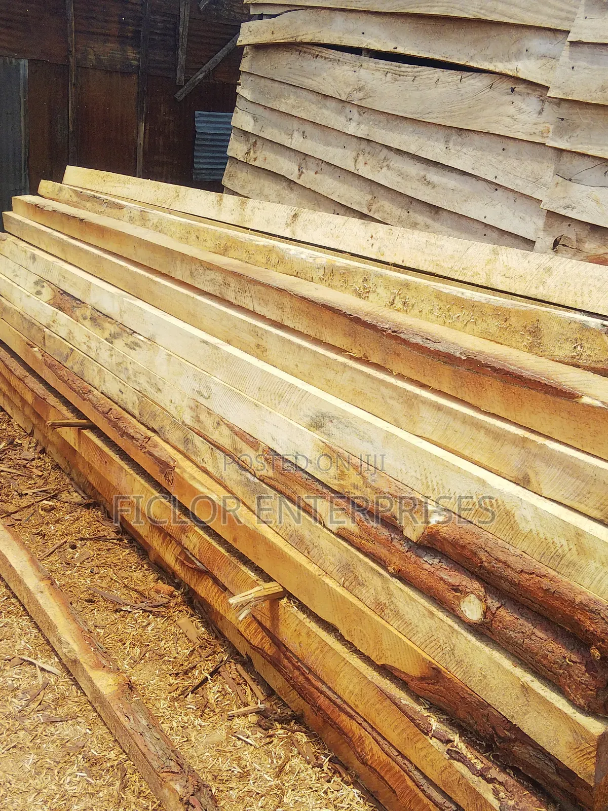 Pine Roofing Timber | Roofing Wood | Construction Timber