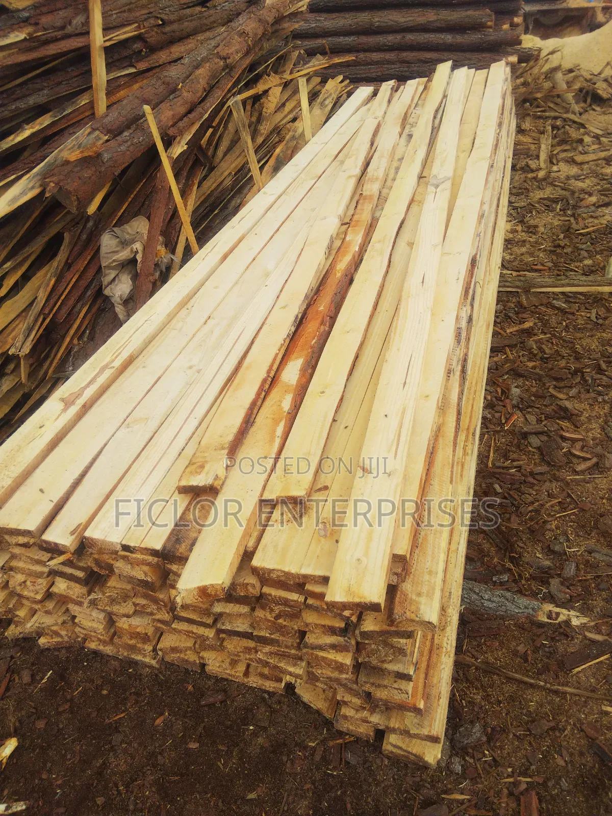 Pine Timber for Sale | Bulk Timber | Pine Wood Supplier