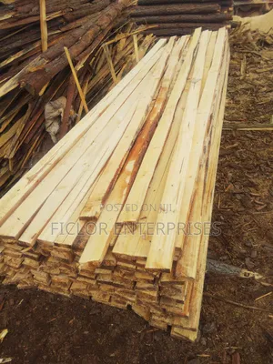 Pine Timber for Sale | Bulk Timber | Pine Wood Supplier