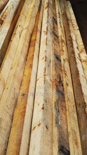 Pine Timber for Sale | Bulk Timber | Pine Wood Supplier