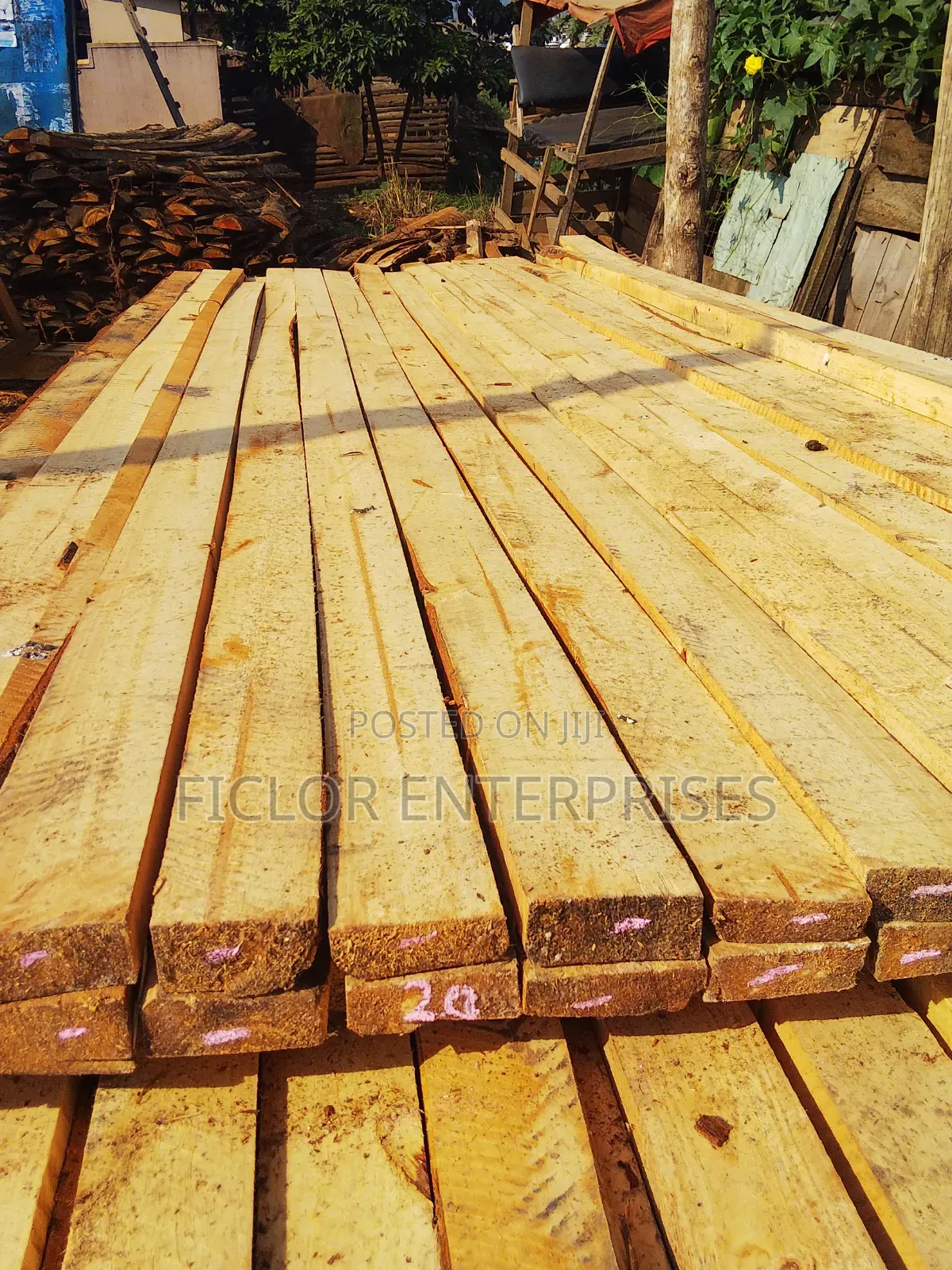 Pine Timber for Sale | Bulk Timber | Pine Wood Supplier
