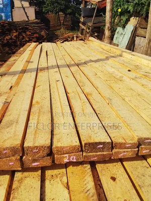 Pine Timber for Sale | Bulk Timber | Pine Wood Supplier
