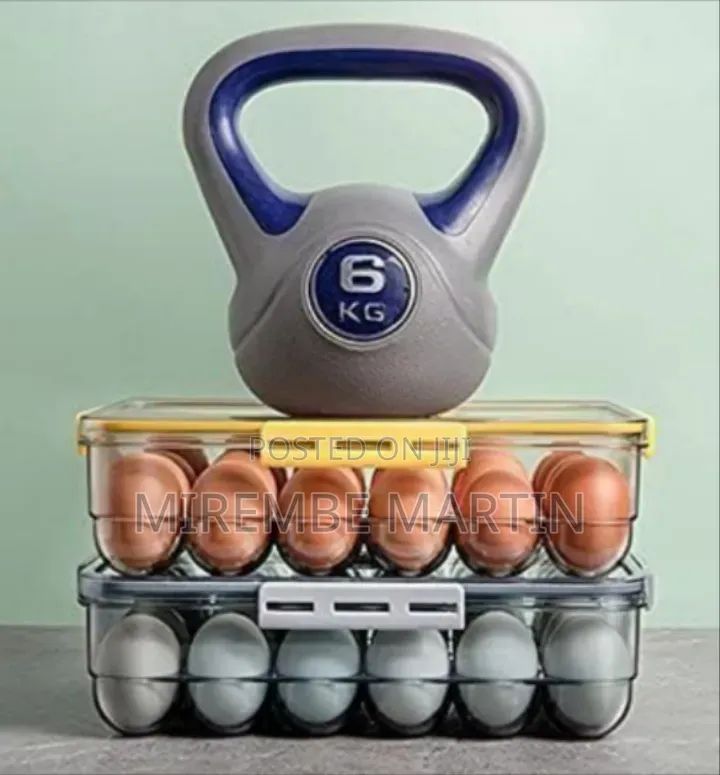 Sealed Clear Egg Storage Container for Refrigerator