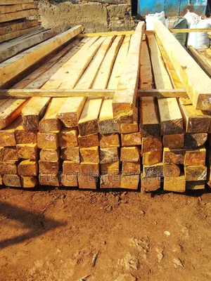 Eucalyptus Timber for Construction | Eucalyptus Wood | Bulk Timber