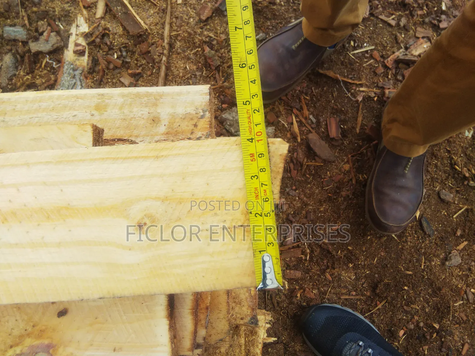 Eucalyptus Timber for Construction | Eucalyptus Wood | Bulk Timber